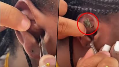Crab gets stuck inside woman’s ear while snorkelling; find out what happens next