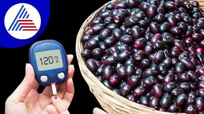 ಮಧುಮೇಹ ಇರೋರು ನೇರಳೆ ಹಣ್ಣು ಯಾಕೆ ತಿನ್ಬೇಕು ?