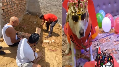 राजस्थान के सीकर की अनोखी घटना: डॉगी की मौत पर रोया परिवार, आत्मा की शांति के लिए किया यज्ञ और भंडारा