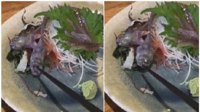 തീൻമേശയിലെ വിഭവത്തിൽ ജീവനോടെ മീൻ,  ഓൺലൈനിൽ വൈറലായി വീഡിയോ 