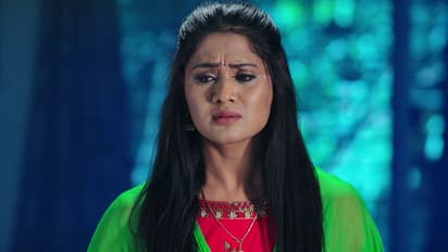 Karthik Deepam: శౌర్యనే నాకు ముఖ్యం.. త్యాగం చెయ్యడానికి హిమ రెడీ, పగ తీర్చుకోడానికి జ్వాలా సిద్ధం!