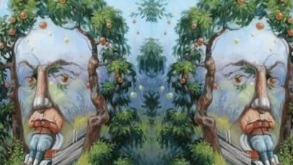 ഈ ചിത്രത്തിൽ ആദ്യം കാണുന്നതെന്ത്? നിങ്ങളിലെ ഏറ്റവും അസഹ്യമായ സ്വഭാവം ഇതാവുമത്രെ