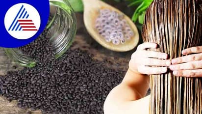Hair Care : ತುಳಸಿ ಬೀಜದಲ್ಲಿದೆ ಕೂದಲ ಸೌಂದರ್ಯದ ಗುಟ್ಟು 