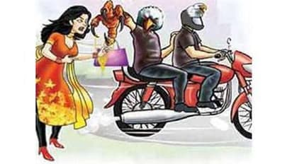 पर्स लूटेरों को महिला ने ऐसे सिखाया सबक, जाने पूरा मामला