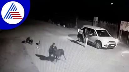 Udupi: ಕರಾವಳಿಯಲ್ಲಿ ಮತ್ತೆ ಮುಂದುವರಿದ ಗೋಕಳ್ಳರ ಅಟ್ಟಹಾಸ