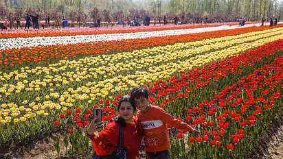 ವಿಶ್ವ ಬುಕ್ ಆಫ್ ರೆಕಾರ್ಡ್ ಸೇರಿದ ಕಾಶ್ಮೀರದ ಟುಲಿಪ್ ಗಾರ್ಡನ್‌ನ ಸುಂದರ ಚಿತ್ರಗಳು... 