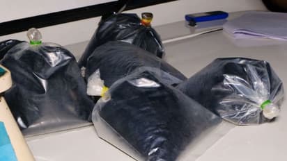 ചോക്ളേറ്റ് ലോറിയില് ലഹരിമരുന്ന് കടത്തല്; വൻ ഹാഷിഷ് ഓയിൽ വേട്ട, രണ്ട് പേര് അറസ്റ്റില്