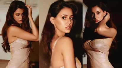 Can you guess which South actor will Disha Patani be next seen with?