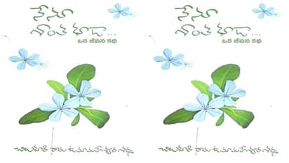 చిలుకూరి రామ ఉమామహేశ్వర శర్మ జీవన కథ "నేనూ శాంత కూడా"