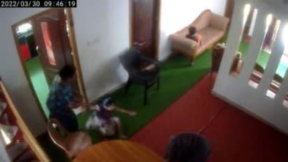 പെൺകുട്ടിയെ വലിച്ചെറിഞ്ഞ സംഭവം; മർദ്ദിച്ചത് ചോറ് വാർക്കുന്നതിനിടെ അടുക്കളയിൽ കയറിയതിന്