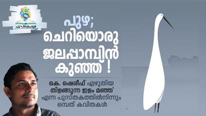  പുഴ, ചെറിയൊരു ജലപ്പാമ്പിന്‍ കുഞ്ഞ്! 