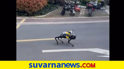 ಲಾಕ್‌ಡೌನ್‌ :ಶಾಂಘೈನ ಖಾಲಿ ಬೀದಿಯಲ್ಲಿ ಗಸ್ತು ತಿರುಗುತ್ತಿರುವ ರೋಬೋ ನಾಯಿ
