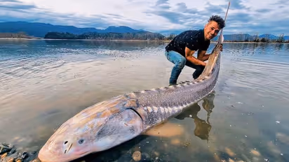 Watch: Alberta man catches 8 feet long sturgeon from Fraser river