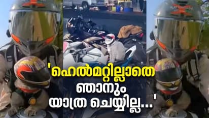 Viral Video : ഹെൽമറ്റ് ധരിച്ച്  യാത്ര ചെയ്യുന്ന ഒരു കിടിലൻ പൂച്ച; വീഡിയോ കാണാം