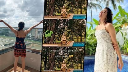 Inside Pictures of Rashmika Mandanna's 5 luxurious houses in Goa, Bengaluru and more