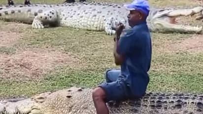 हैरान कर देगा ये वीडियो, मगरमच्छ की पीठ पर बैठकर डांस करने लगा एक आदमी, जानें फिर क्या हुआ