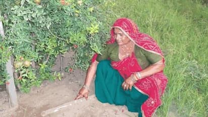 राजस्थान की इस महिला के पास गजब का टैलेंट: खेती को लेकर निकाला ऐसा फॉर्मूला कि हर कोई कर रहा सैल्यूट