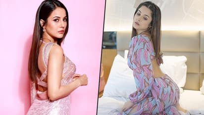 Shehnaaz Gill gives tips on weight loss after her impressive physical transformation