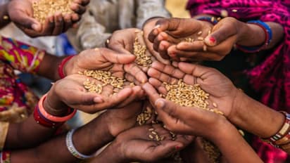 ಕೊರೋನಾ ಸಂಕಷ್ಟದಲ್ಲಿ ಭಾರತದ ದಿಟ್ಟ ನಡೆ: PMGKAY ಯೋಜನೆಗೆ IMF ಶ್ಲಾಘನೆ!