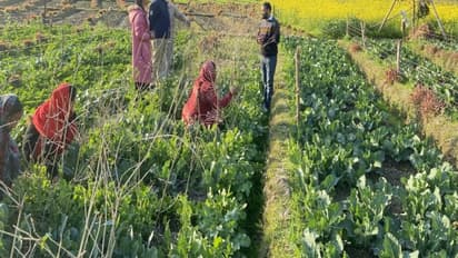 ప్రకృతి వ్యవసాయంతో విజయగాథలు లిఖిస్తున్న హిమాచల్ మహిళలు..