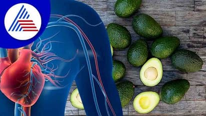 ದಿನಕ್ಕೊಂದು ಆವಕಾಡೊ ತಿಂದರೆ ಹೃದಯದ ಆರೋಗ್ಯದ ಬಗ್ಗೆ ಭಯ ಬೇಕಿಲ್ಲ