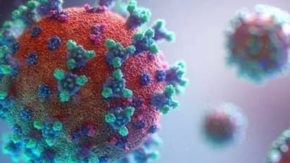 SC fixes timeline for filing claims of COVID compensation: Centre