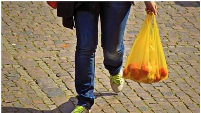 ദുബൈയില്‍ ഒറ്റത്തവണ ഉപയോഗിക്കുന്ന ക്യാരി ബാഗുകള്‍ക്ക് 25 ഫില്‍സ് ഈടാക്കും