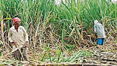 ১০ কোটি কৃষক পাবেন ২০০০টাকা, তবে ই কে ওয়াইসি বাধ্যতা মূলক,জানাল কেন্দ্র