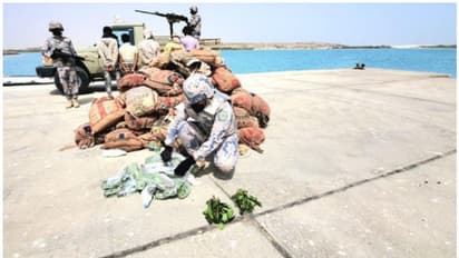 സൗദിയില് വന് മയക്കുമരുന്ന് വേട്ട; ഇന്ത്യക്കാരനുള്പ്പെടെ 50 പേര് അറസ്റ്റില്