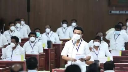 வன்னியர் இட ஒதுக்கீடு.. ஏட்டிக்குப் போட்டி அரசியல் நடத்த நான் வரவில்லை.. நெற்றியடி அடித்த ஸ்டாலின்..