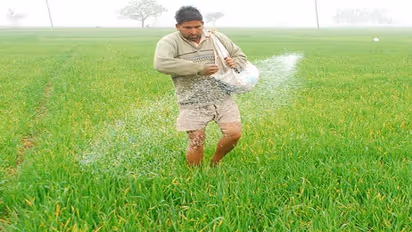 अन्नदाताओं पर महंगाई की दोहरी मार, गैस-डीजल के बाद अब डीएपी खाद के दाम में 150 रुपये की हुई बढ़ोत्तरी
