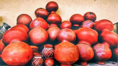 বাড়ির এই দিকে রাখুন জল ভরা মাটির পাত্র, পরিবারের সদস্যদের আয় বাড়বে হবে পদোন্নতি