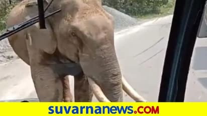 ಟ್ರಾಫಿಕ್ ಪೊಲೀಸ್ ತರ ಬಸ್‌ ನಿಲ್ಲಿಸಿದ ಆನೆ : ವಿಡಿಯೋ ನೋಡಿ