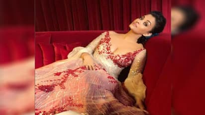 দ্বিতীয়বারের জন্য কি মা হচ্ছেন ঐশ্বর্য? ঢিলেঢালা পোশাক পরতেই জল্পনা তুঙ্গে