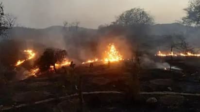 राजस्थान के उदयपुर में आग से धधक रहे जंगल: 4 दिन से लगी भयानक आग, कई हैक्टेयर जंगल जलकर राख
