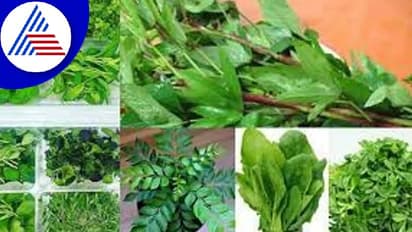 ಬೆಳಗ್ಗೆ ಖಾಲಿ ಹೊಟ್ಟೆಯಲ್ಲಿ ಎಲೆ ತಿಂದು ಆರೋಗ್ಯ ಕಾಪಾಡ್ಕೊಳ್ಳಿ