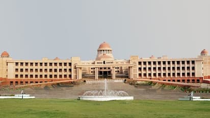 लखनऊ में कुत्तों के काटने से मासूम की मौत पर मानवाधिकार के बाद कोर्ट गंभीर, सरकार व अन्य विभागों को नोटिस जारी