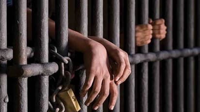 42-year-old Dehradun man jailed for using tricolour to clean bicycles