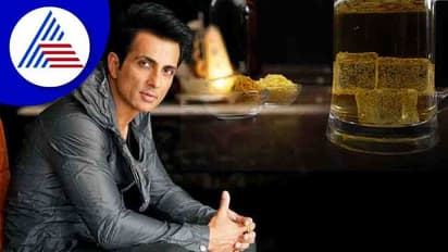  'ಬೇಸಿಗೆಗೆ ಚಿಲ್ಡ್ ಬಿಯರ್ ದಾನ ಮಾಡಿ' ಎಂದ ಅಭಿಮಾನಿಗೆ ಸೋನು ಸೂದ್ ಕೊಟ್ಟ Reply ಹೀಗಿತ್ತು..