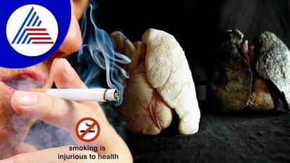 ಧೂಮಪಾನದಿಂದ ರಕ್ಷಿಸಲು ಶ್ವಾಸಕೋಶದಲ್ಲೇ ಇದೆ ಶಕ್ತಿಶಾಲಿ ಕೋಶ