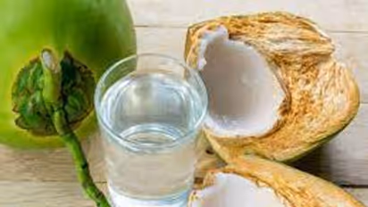 ప్రతిరోజు కొబ్బరి నీళ్లు తాగితే కలిగే అద్భుతమైన ఆరోగ్య ప్రయోజనాలు ఇవే!