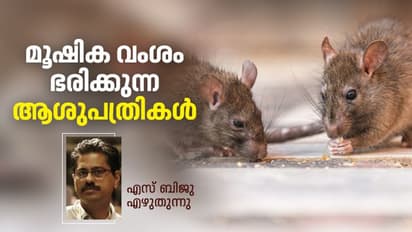 Opinion : ആശുപത്രിയില് കഴിയവേ എലി കടിച്ച് മരിച്ച ശ്രീനിവാസ്; ഇന്ത്യന് ഹോസ്പിറ്റലുകളില് സംഭവിക്കുന്നത്