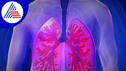 ಮಾನವನ ದೇಹದಲ್ಲಿದೆಯಂತೆ ಮತ್ತೊಂದು ಅಂಗ, ಶ್ವಾಸಕೋಶದಲ್ಲಿ ಅಡಗಿರುವ ಅಂಗ ಪತ್ತೆ ಹಚ್ಚಿದ ವಿಜ್ಞಾನಿಗಳು!