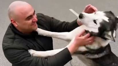 Watch: Dog crying after reuniting with its owner in war-torn Ukraine; leaves netizens emotional