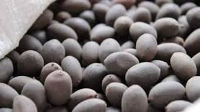 తామర గింజలలో దాగివున్న ఆరోగ్య రహస్యాలేంటో తెలిస్తే షాక్ అవ్వాల్సిందే!