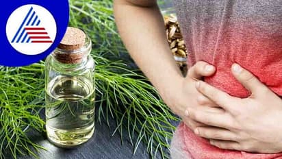 Health Tips : ಗ್ಯಾಸ್ ಹೆಚ್ಚಾಗಿ ಹೊಟ್ಟೆ ಊದಿಕೊಳ್ಳೋಕೆ ಇಲ್ಲಿದೆ ಕಾರಣ