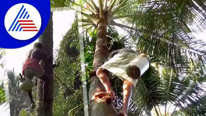 ಶೇಂದಿ ತೆಗೆಯಲು ಬಿಡಿ ಕುಲಕಸುಬಿಗೆ ಅವಕಾಶ ಕೊಡಿ