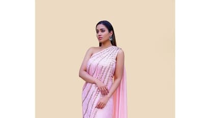Nivetha Pethuraj: వెరైటీ శారీలో నివేతా పేతురాజ్.. స్లీవ్ లెస్ గా మైండ్ బ్లోయింగ్ లుక్స్ 