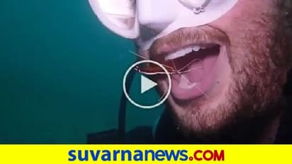 ಸ್ಕೂಬಾ ಡೈವರ್‌ ಬಾಯೊಳಗೆ ನುಗ್ಗಿ ಹಲ್ಲು ಸ್ವಚ್ಛಗೊಳಿಸಿದ ಸೀಗಡಿ: ವಿಡಿಯೋ ವೈರಲ್