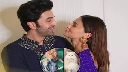 रणबीर कपूर और आलिया भट्ट की शादी को खास बनाएंगे ये मेहमान, इन बेजुबान बारातियों पर रहेगी सबकी नजर